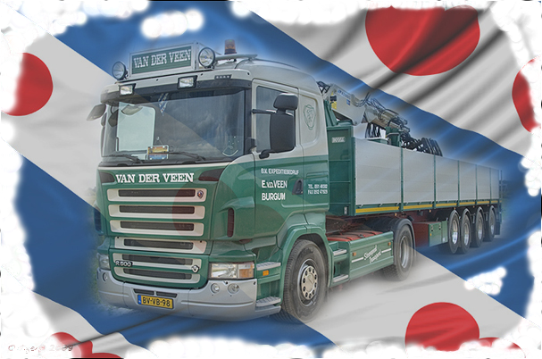 Fryske flagge
