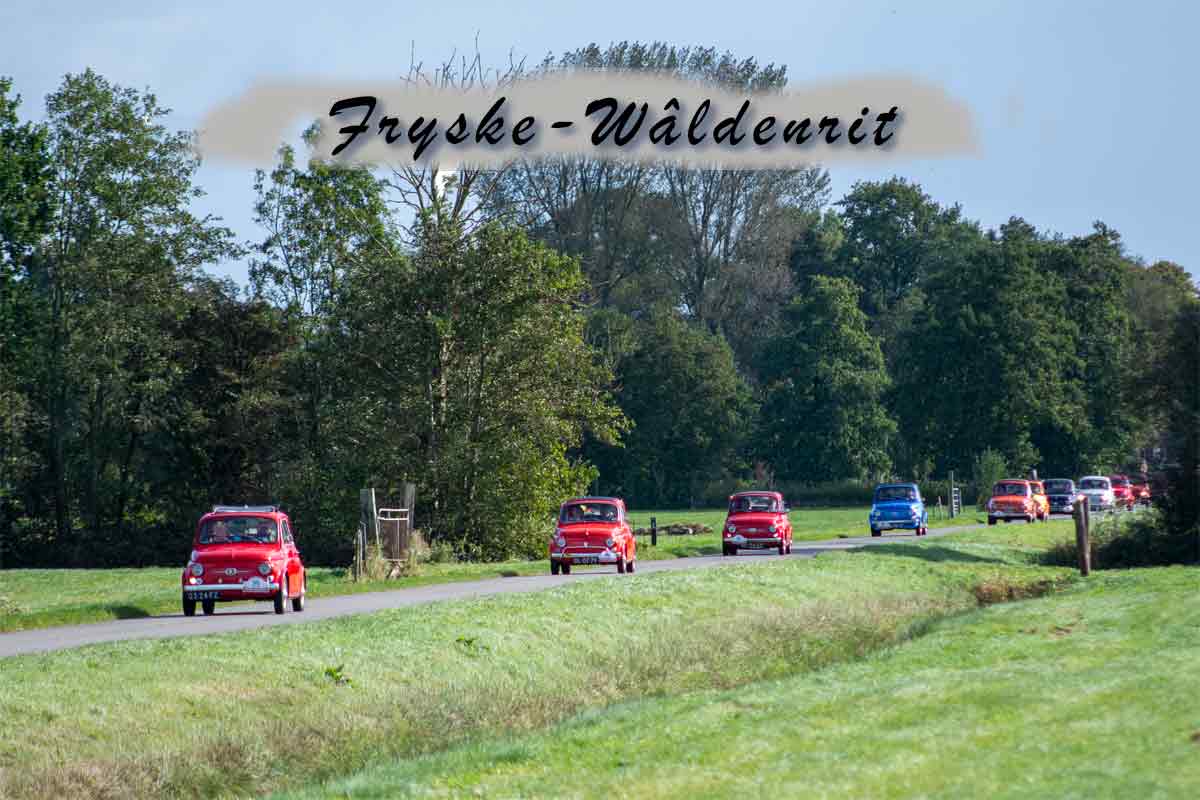 Waldenrit-img